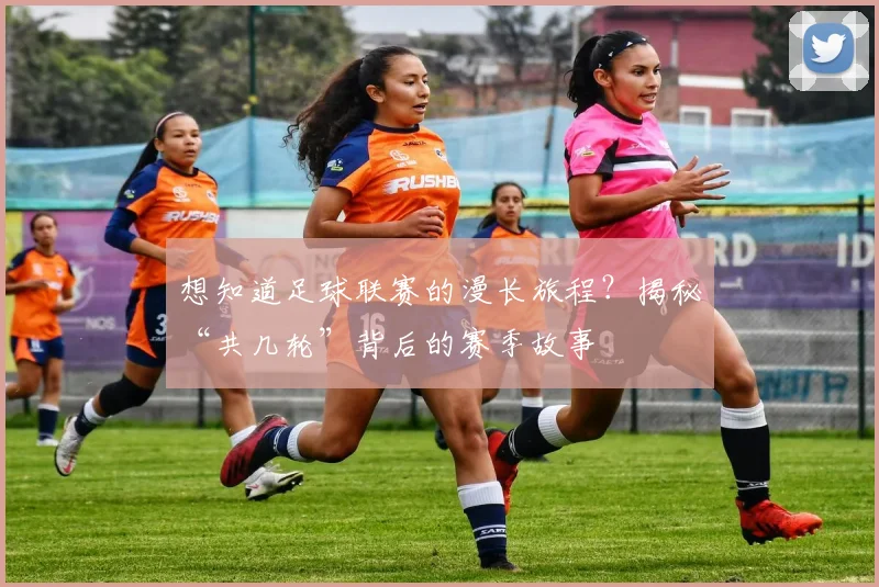 想知道足球联赛的漫长旅程?揭秘“共几轮”背后的赛季故事